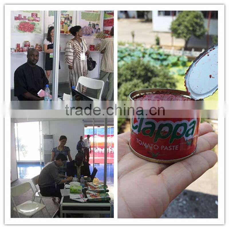 Tomato Paste 22/24 concentration
