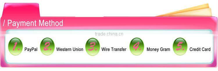 CD7641 Metal Logo Badges for collar