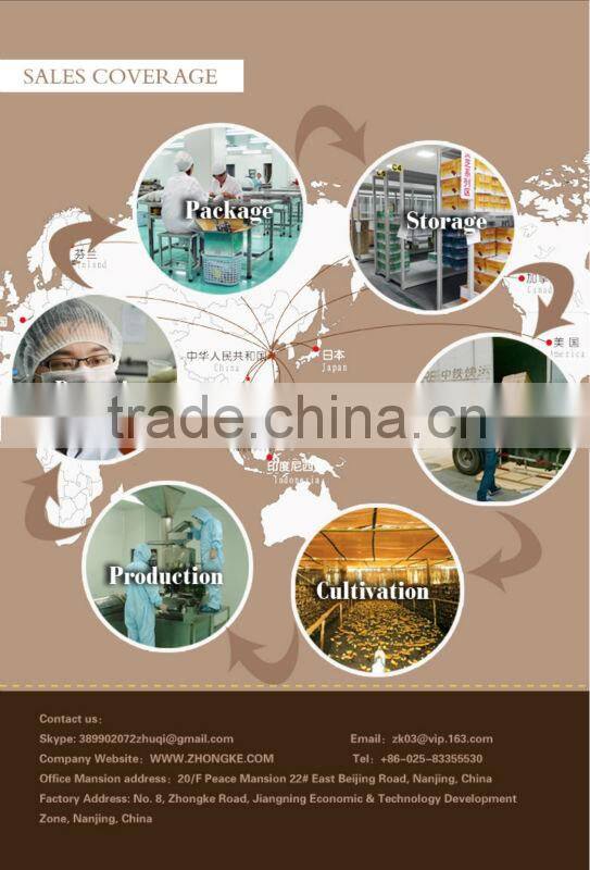 Cartilage Care Supplement Private Label Wholesale Price chondroitin sulfate