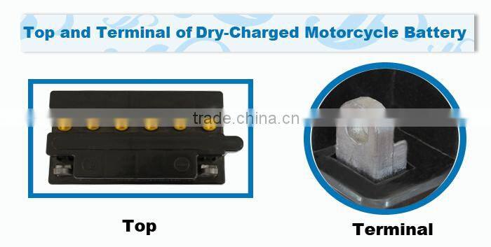 Credable Cina import and export 6v lead acid large capacity motorcycle battery agent