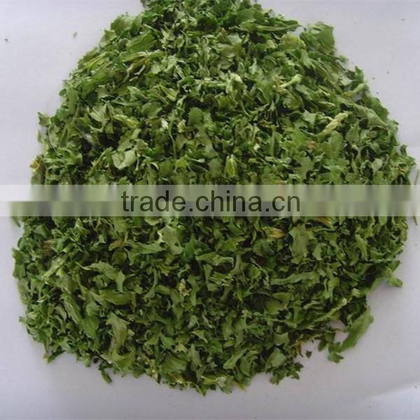 2016 New Crop Dehydrated Parsley Leaf