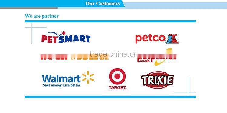 Free Samples Strong And Fashionable radio controlled mouse cat toy