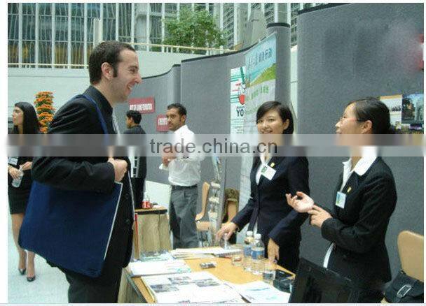 new for blackberry bold 9700 004/111 lcd