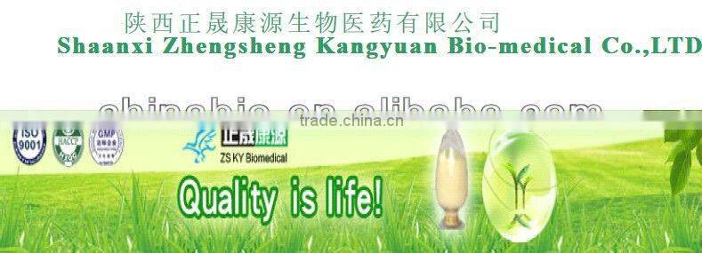 Supply Natural Cassia Nomame Extract With Flavanols 8%,16%