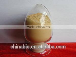 GMP Certified Manufacturer Supply Natural Lotus Seed Extract