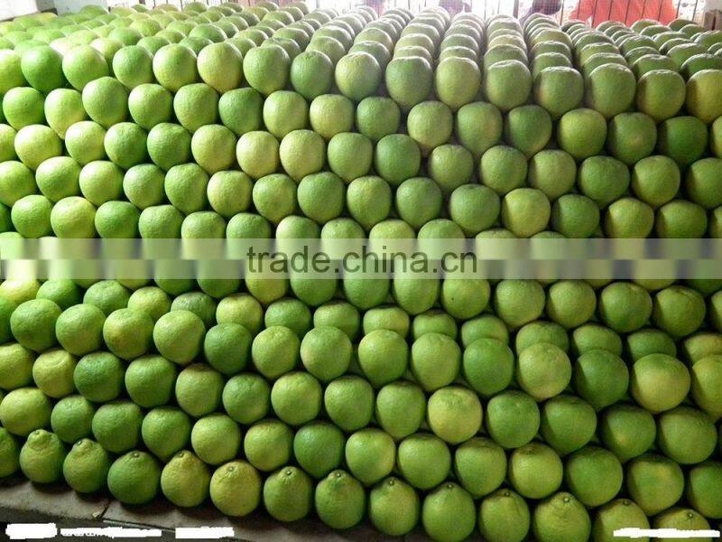white flesh pomelo