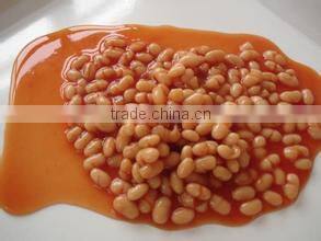 Chinese canned white kidney beans in tomato sauce
