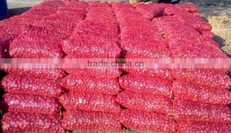 Best Quality Onion Price For Sri Lanka