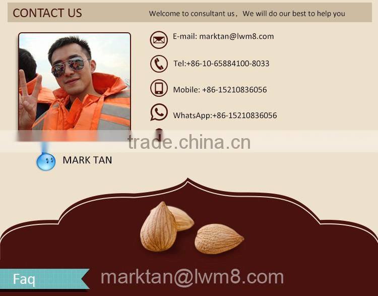 The blanched bitter apricot kernels/(GUANGBEI Type) made in china.