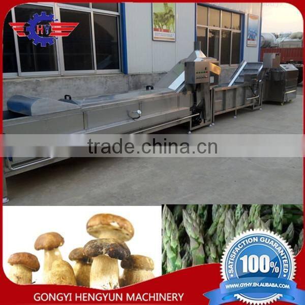 Good quality fruit Pasteurization machine/meat boiling machine/food blanching machine