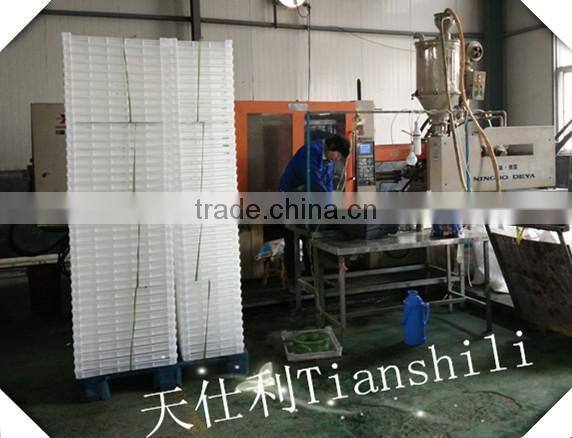 Colorful plastic egg tray for egg storage