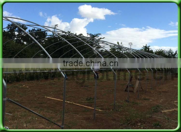 Agricultural film greenhouse be produced by professional manufacturer