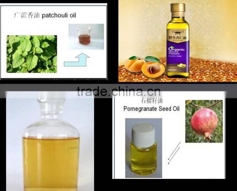 High Technology supercritical fluid extraction machine/co2 extraction machine for cosmetics industry