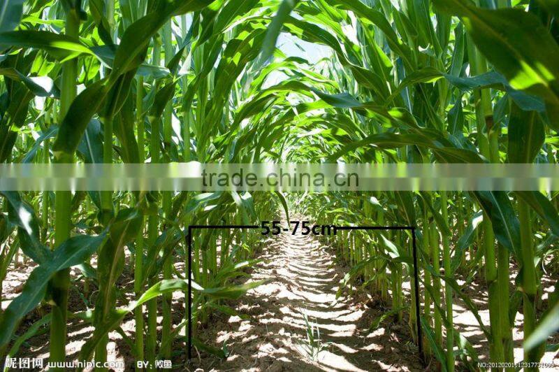 corn harvester machine/small harvesting machine