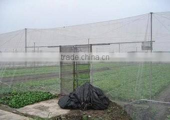 Vegetable garden plastic insect netting
