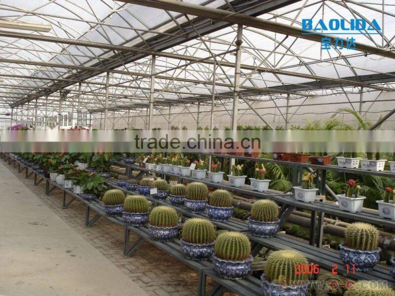 BLD Large Multi-span PE Greenhouse for fruits
