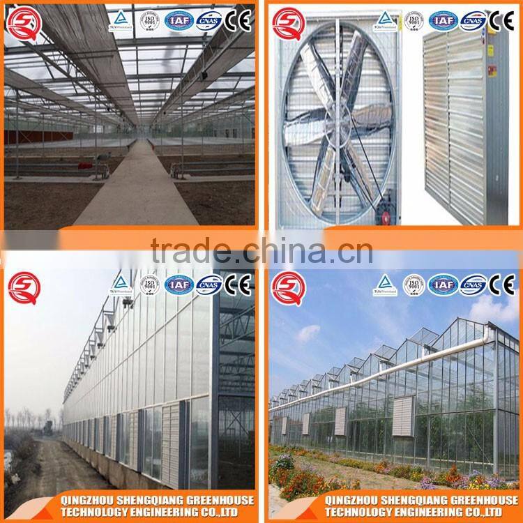 Agriculture glass greenhouse with hot dip galvanized frame for sale