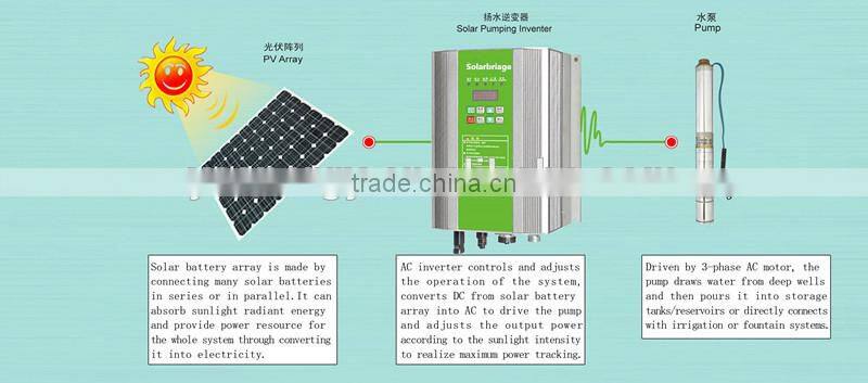 185Wp Solar panel 6*8pcs series solar cell array solar energy system