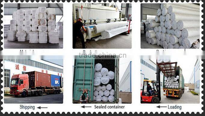 On sales PET Geotextile