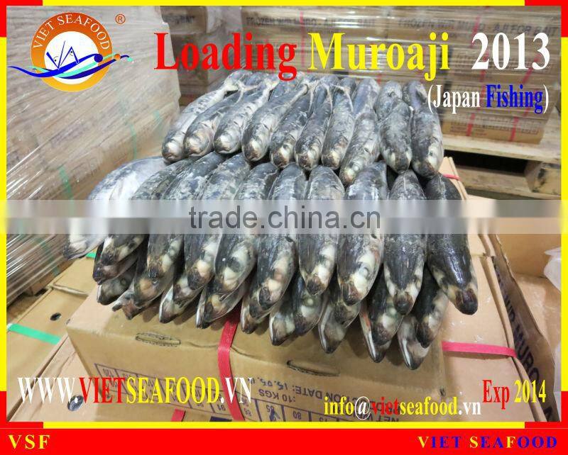 LOADING MUROAJI FOR TUNA BAIT