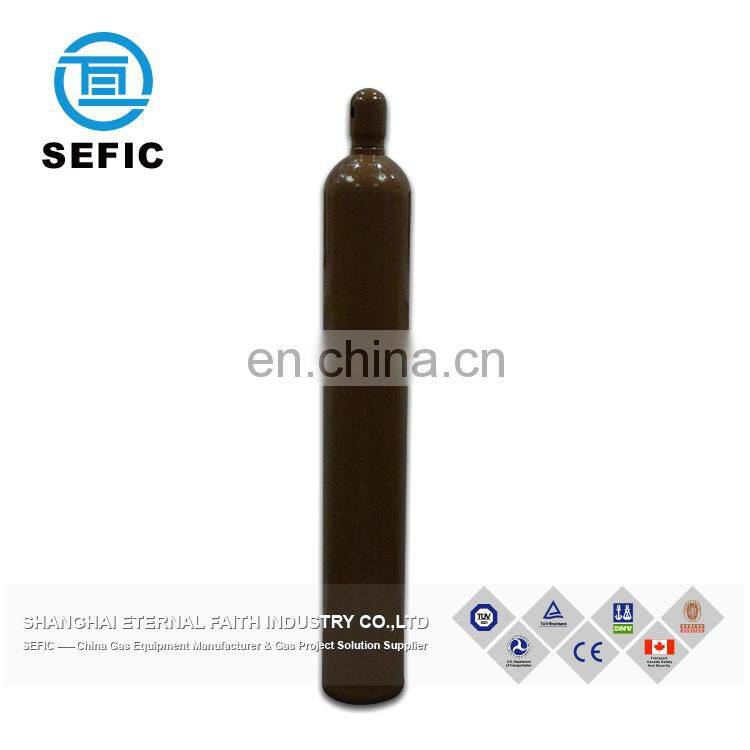 Refillable Colorful Stainless CO2/Argon Gas Empty Steel Cylinder