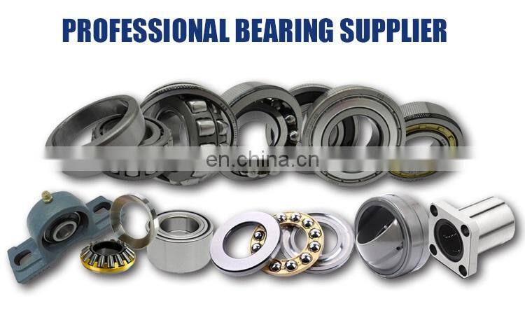 LYZL China Brand High quality Cylindrical Roller Bearing N203 N204 N205 N206 N207 N208 N209 N210
