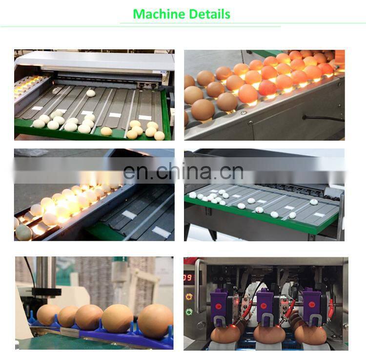 Grande Best Selling High Efficiency Automatic Egg Electric Sorting Machine