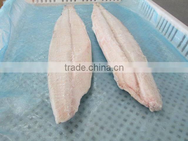 Best Quality Seafood Product Frozen Spanish Mackerel Fillet