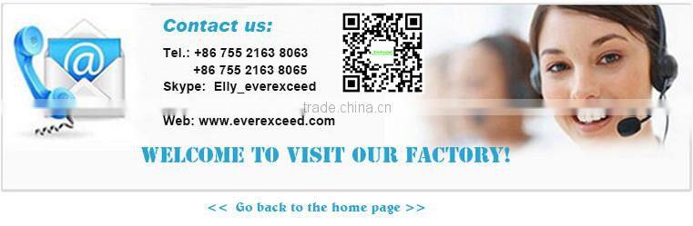 EverExceed rechargeable lead acid auto battery, vented type battery 65D26L