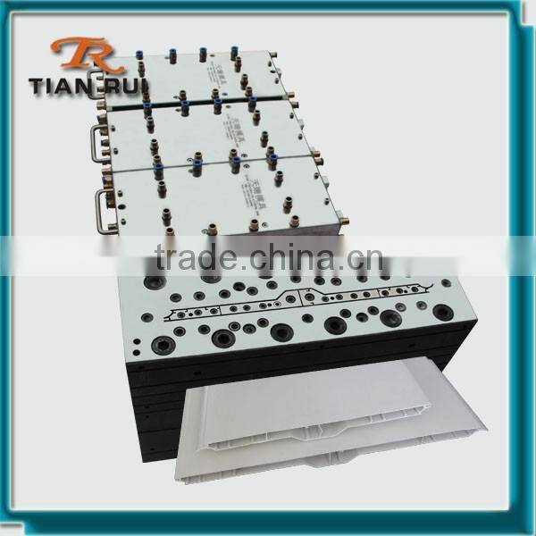 Corrosion PVC Door Panel Extrusion Mold