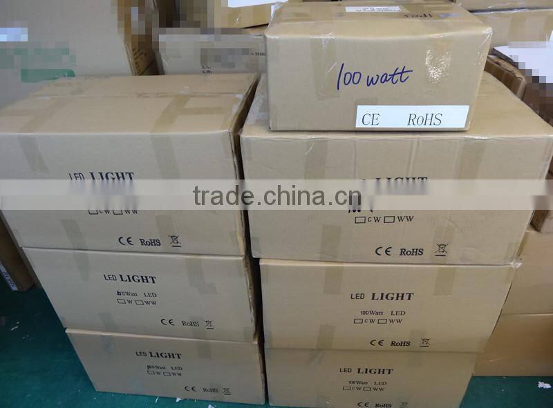 Bridgelux Chip CE / RoHS 300W LED flood light