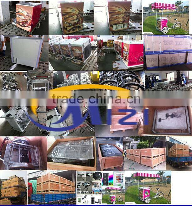 2015 Motorcycle Electrice Bike /solar bicycle freezer/fridge/with panel battery New model battery powered electrice bike