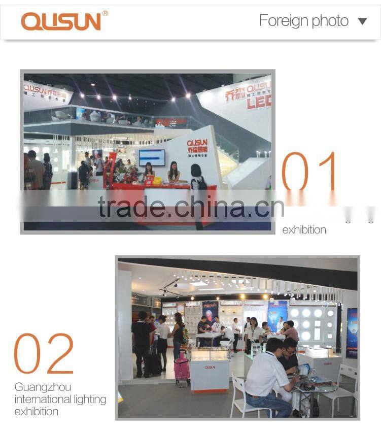 CE ROHS COB par30 LED Par Light spot lights led