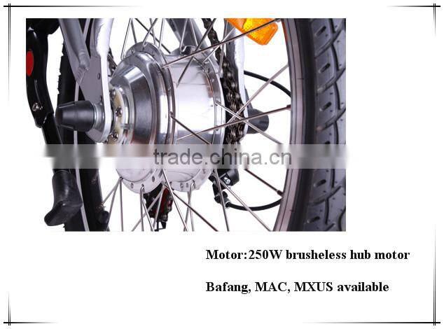 Aluminium Alloy Unique Design 7-Speed Gear CE Certificate 36V 250w 26 Inch Battery Bike