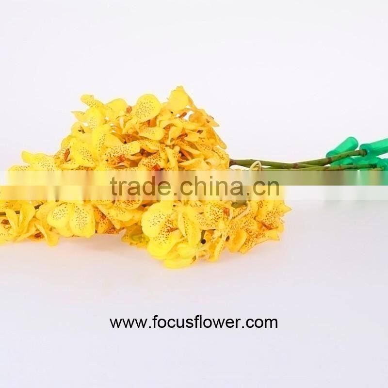 Natural Plants Fresh Cut Yellow Orchid Thailand For Party