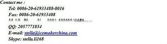 Electric containerized block ice maker for African areas