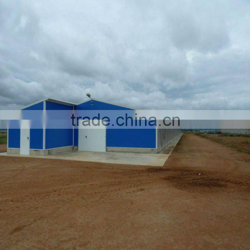 boiler chicken house