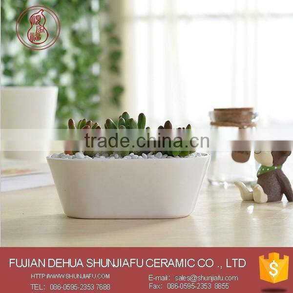2016 New Design Minimalist Seashell Shaped White Ceramic Small Flower Pots,Succulent plants Pots