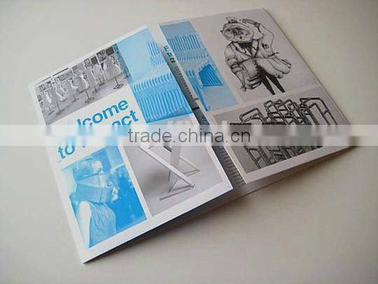 Nice colorful printed brochure