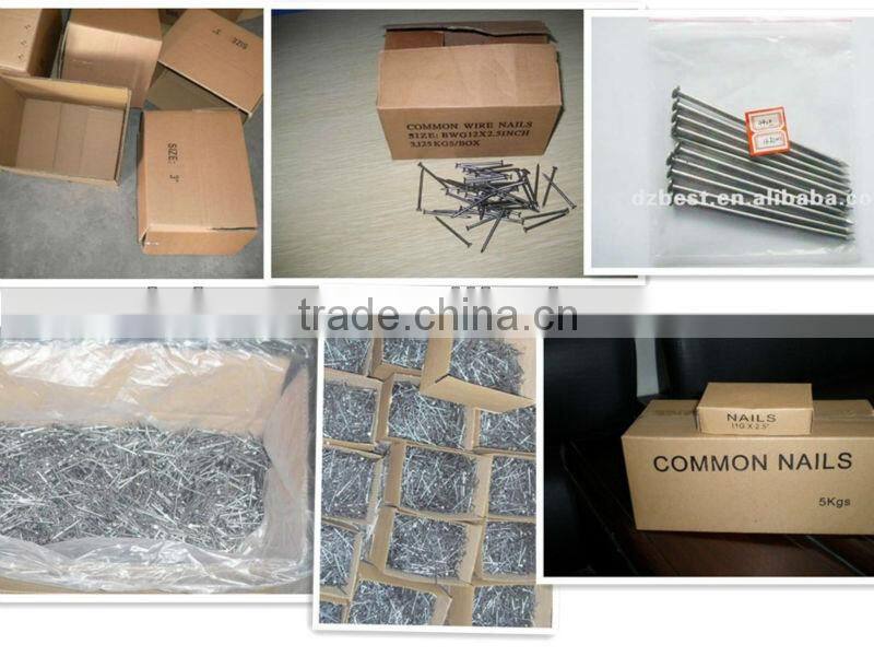 smooth common iron wire nail