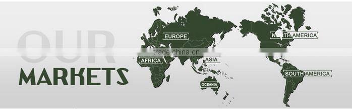 SCL-2013010185 Motorcycle Spare Parts Rear Sprocket for DISCOVER135 SPORT