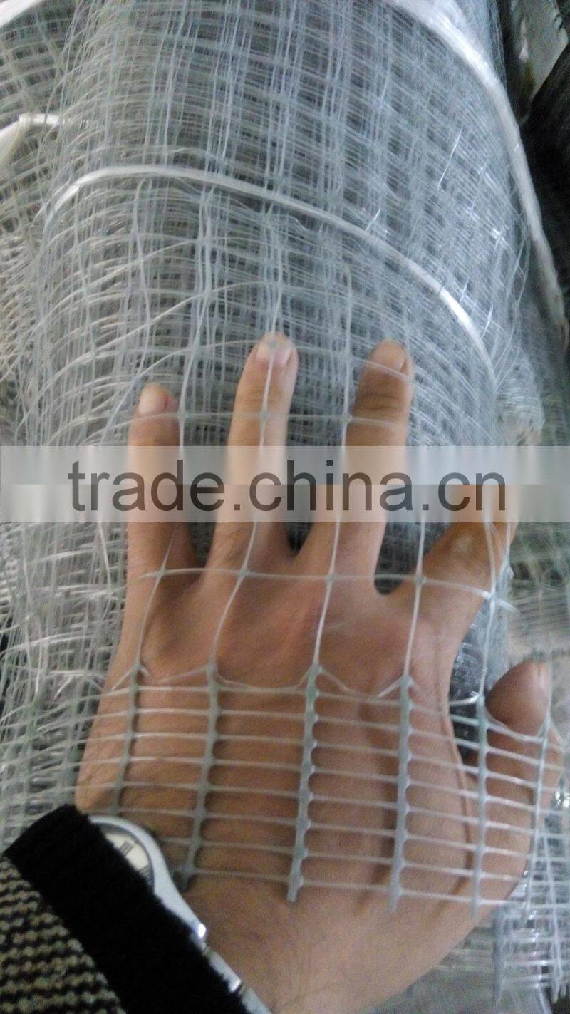 Thailand market hot selling high quality 3/4" chicken net