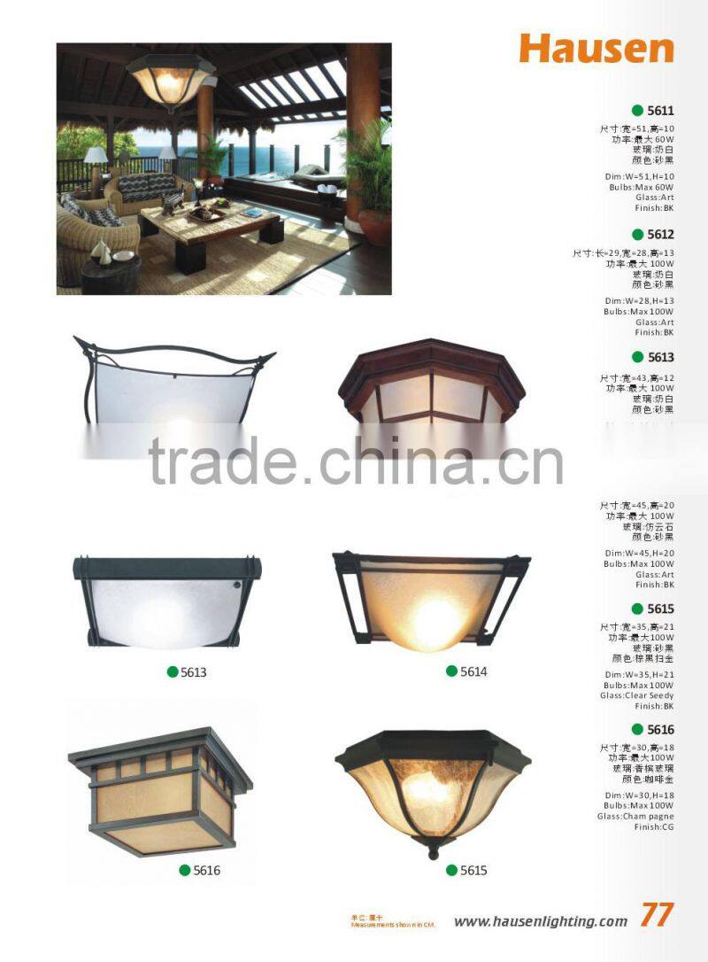 modern design outdoor round ceiling light with frosted glass (HS1106)
