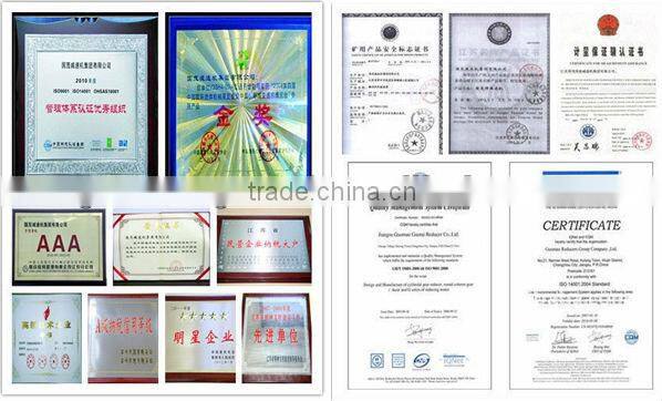 China Supplier ZLYJ Series Power Transmission Part Gear Reducer in Plastic Extruder Mchine