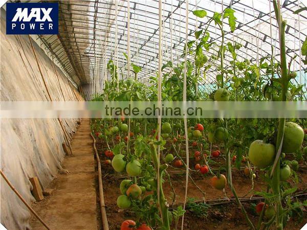 polycarbonate sheet solar greenhouse