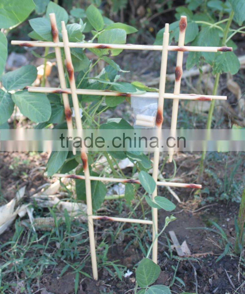 FD-004 Different types of garden decoration for flower