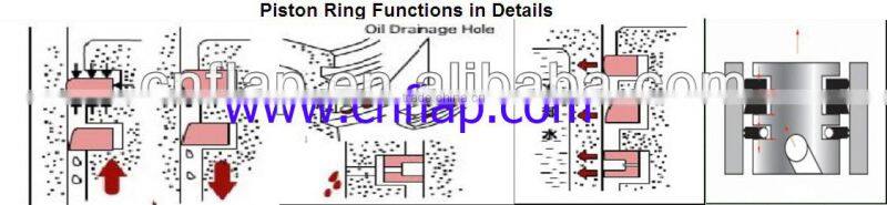 Used for Renault/RVI piston ring