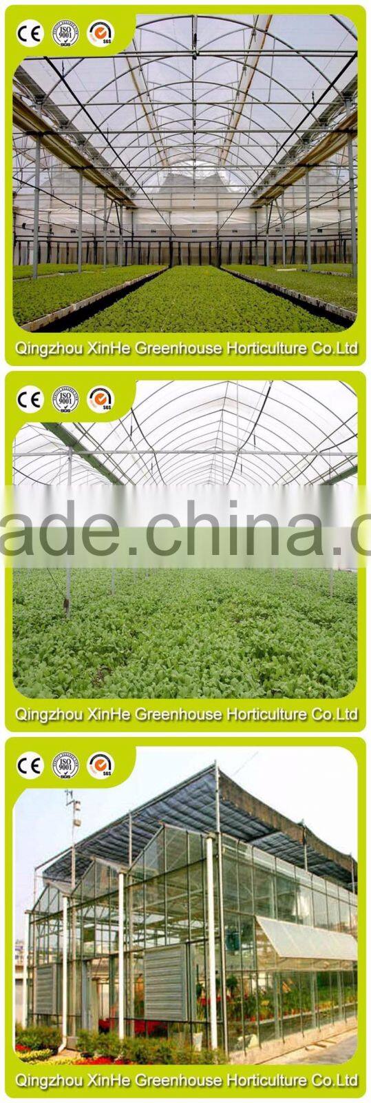 High Quality Tunnel Greenhouse