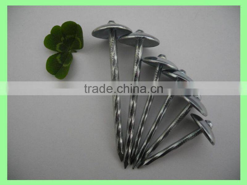2.5'' umberlla roofing nails, 25kg per carton/50kg/gunny bag