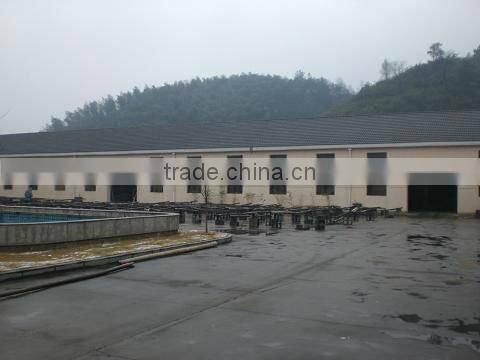 Factory Directly Natural Raw Bamboo Poles